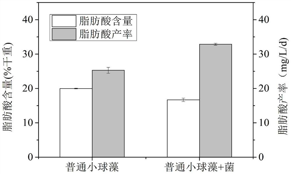 Method for improving oil yield of microalgae in photoheterotrophic system