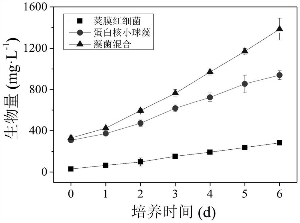 Method for improving oil yield of microalgae in photoheterotrophic system