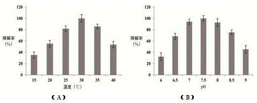 Bio-organic fertilizer with acetochlor degradation function and preparation method and application thereof