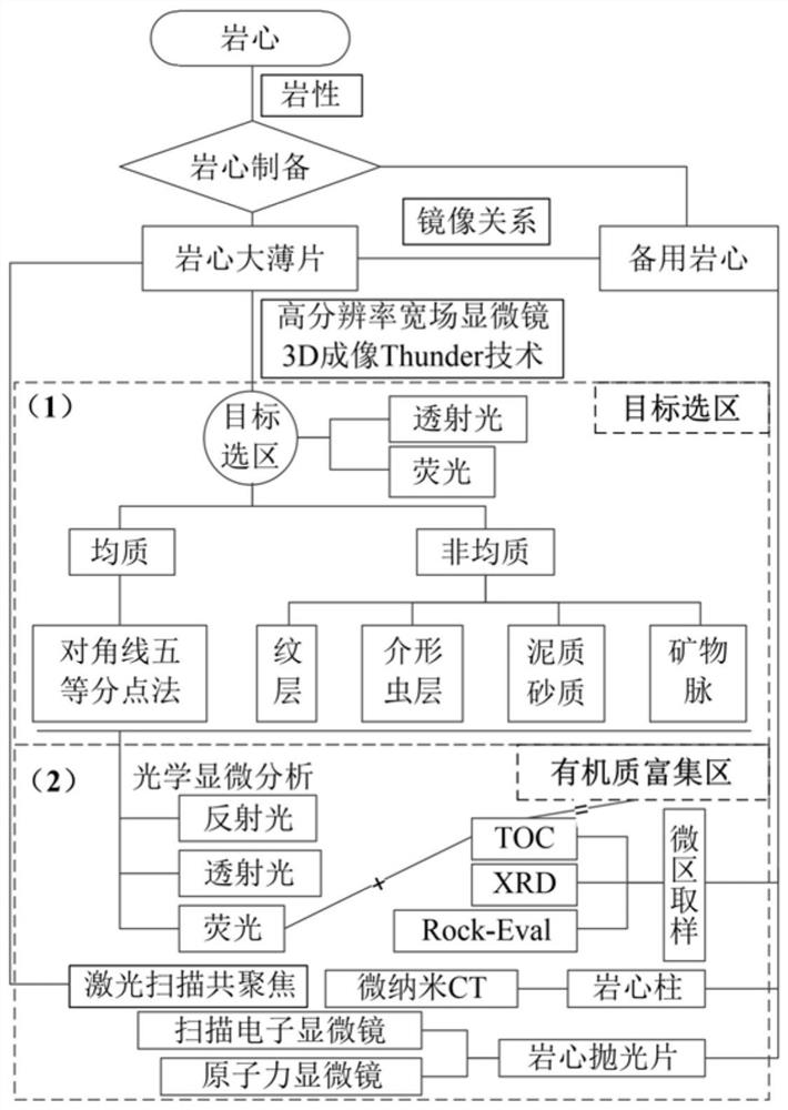 Shale multiscale full-information comprehensive characterization and longitudinal evolution law determination method