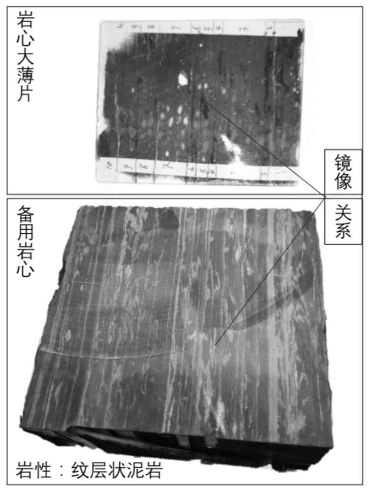 Shale multiscale full-information comprehensive characterization and longitudinal evolution law determination method