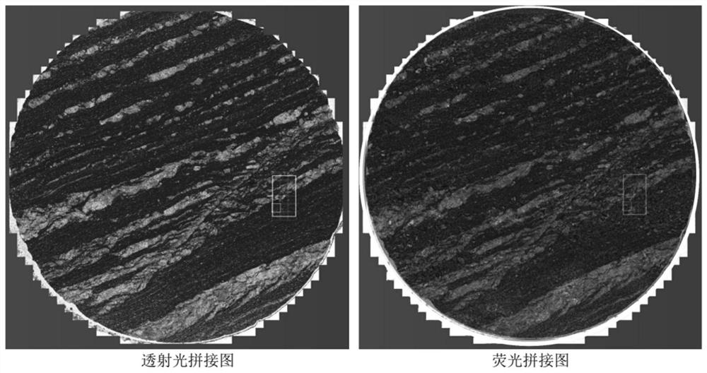 Shale multiscale full-information comprehensive characterization and longitudinal evolution law determination method