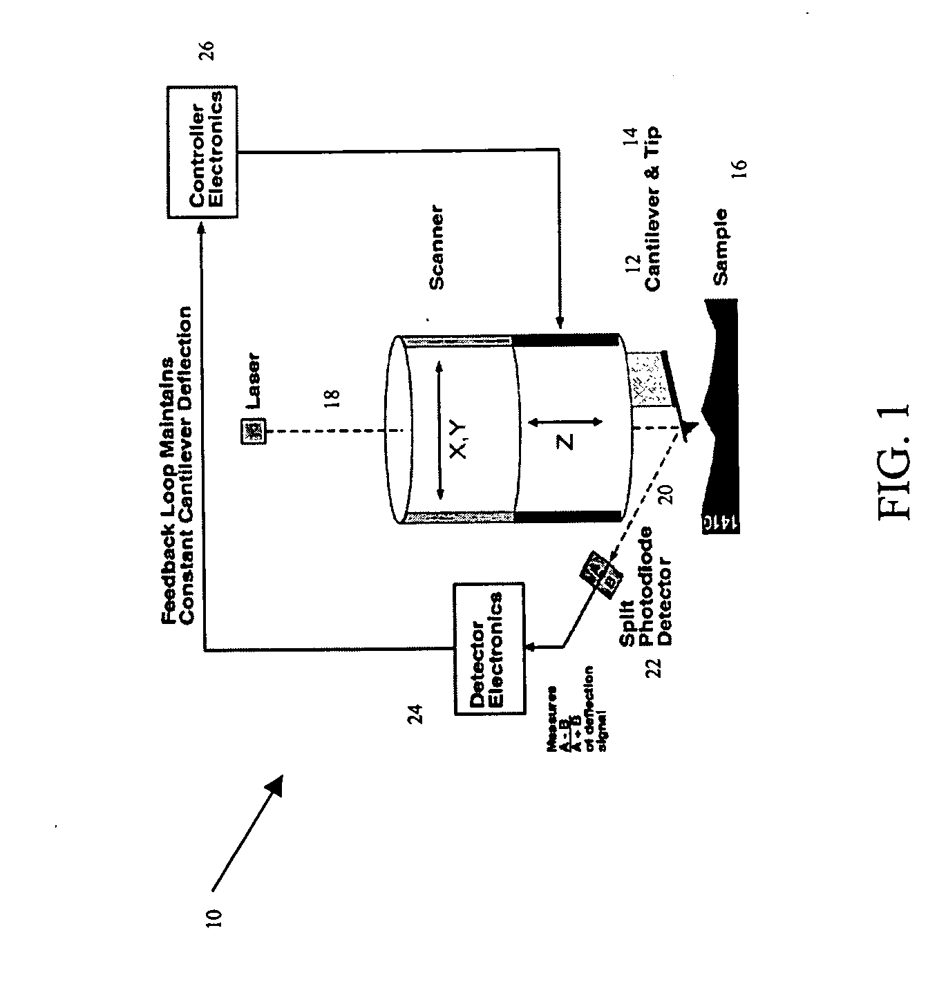 System and method for the analysis of atomic force microscopy data