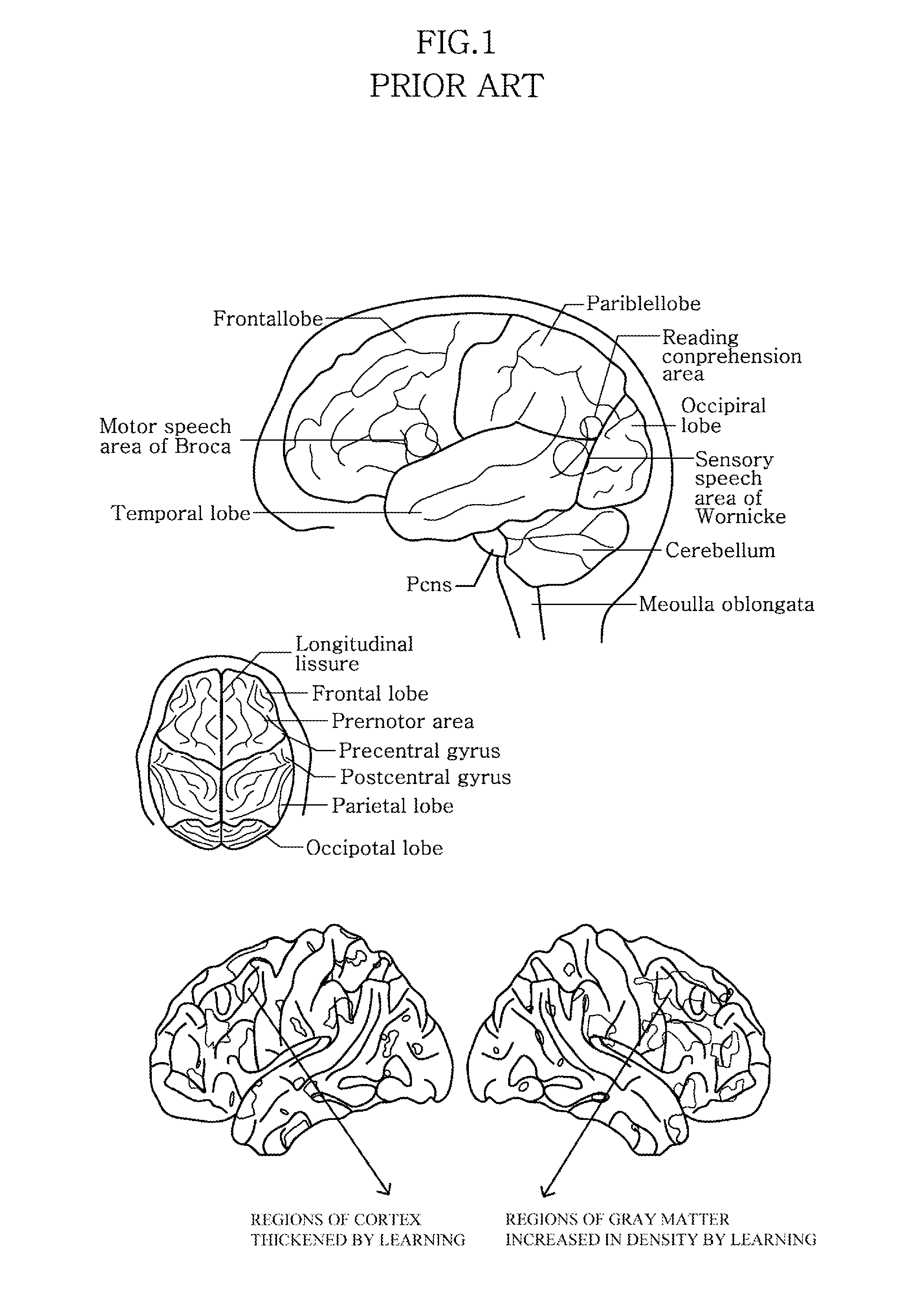 Method for playing dynamic english graphics optimized to visual processing patterns of brain