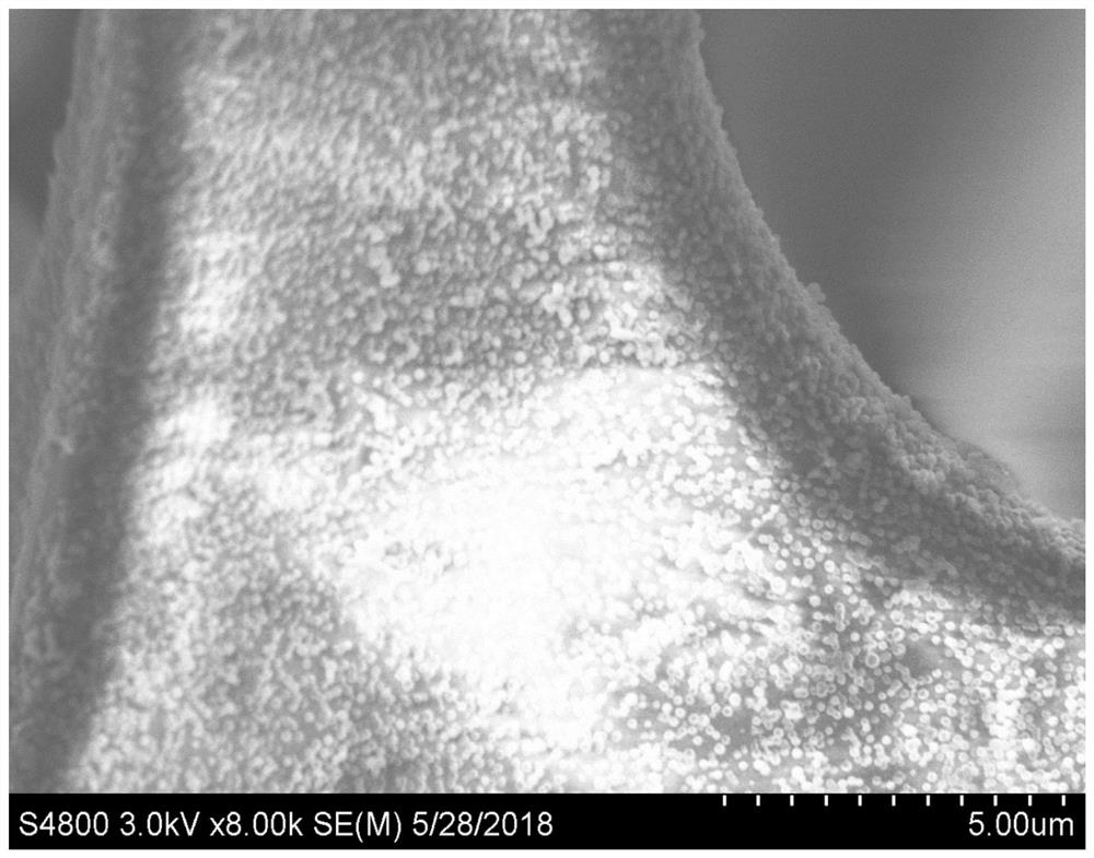 Encapsulation method and application of zif-hemin based on melamine sponge