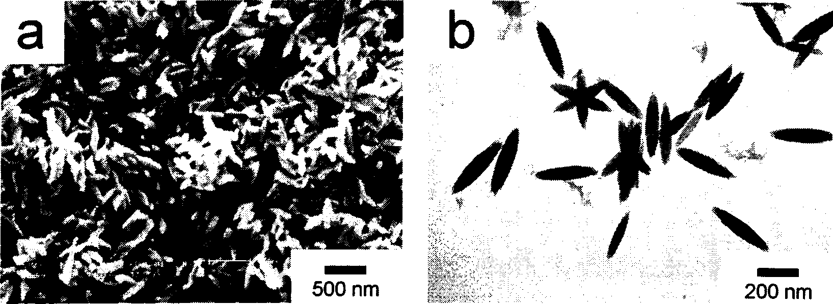 Preparation of conductive polymer / inorganic nano composite electrode modified material