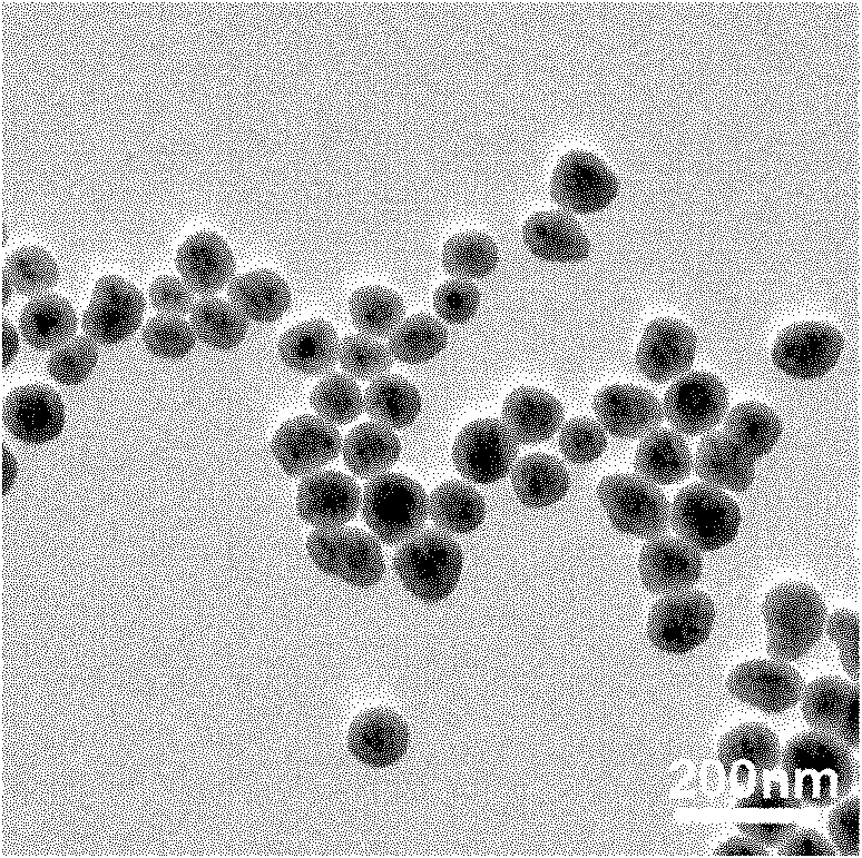 Method for preparing magnetic silica composite particles