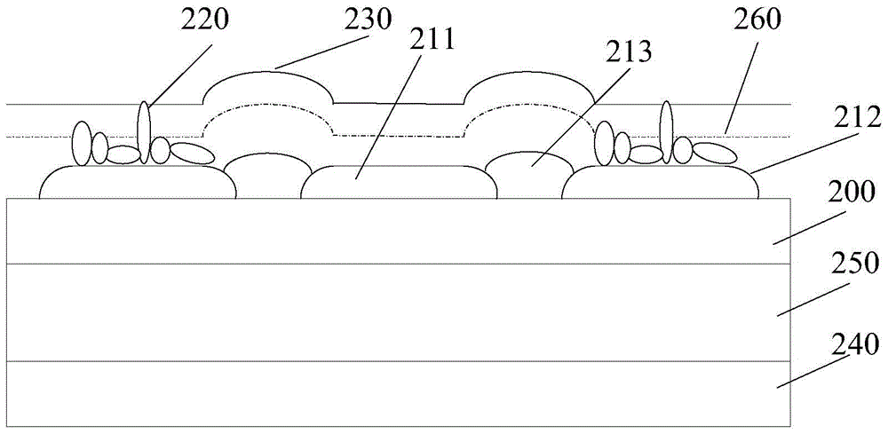 An organic light emitting diode display panel