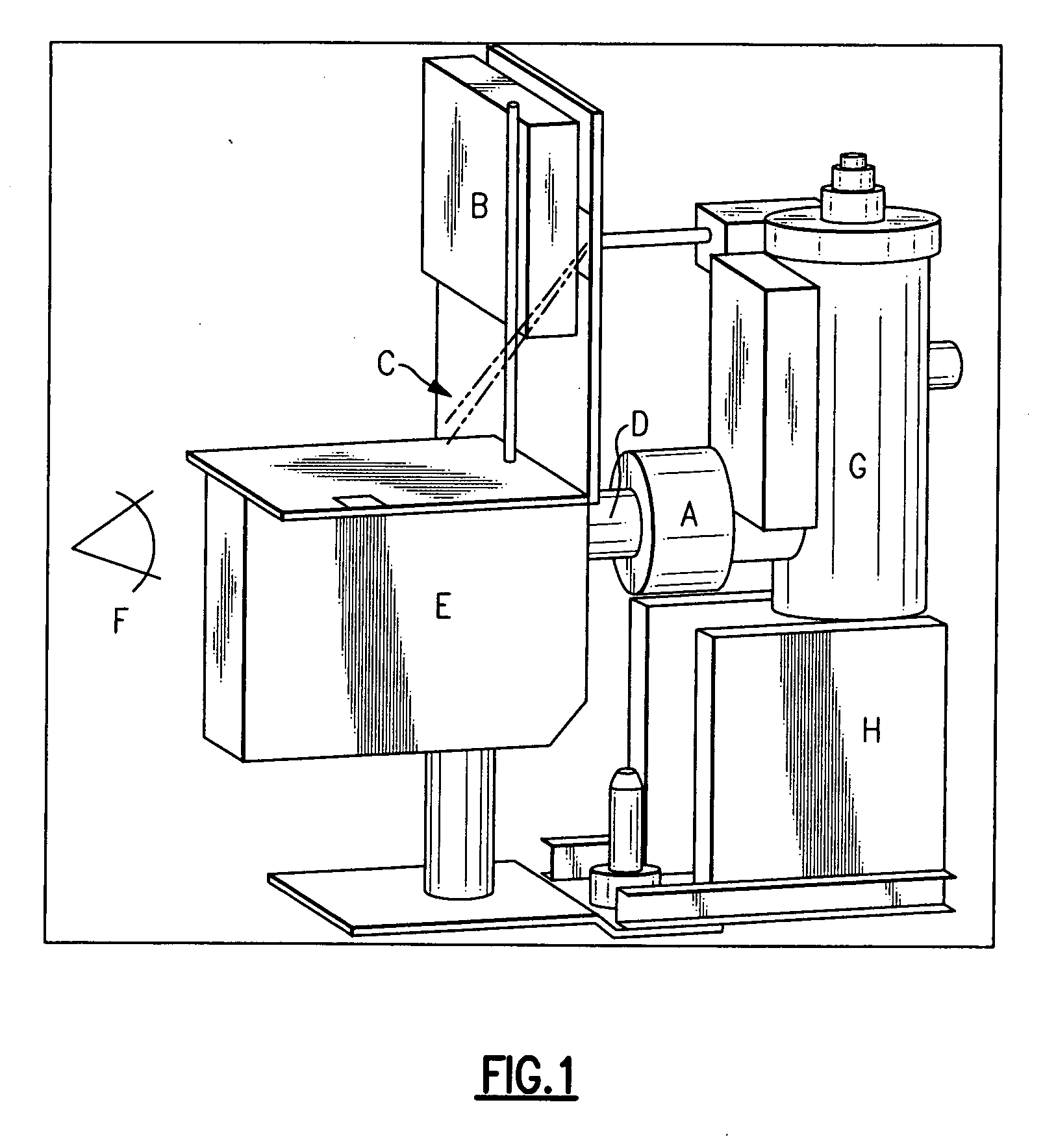 System and method for optical imaging of human retinal function