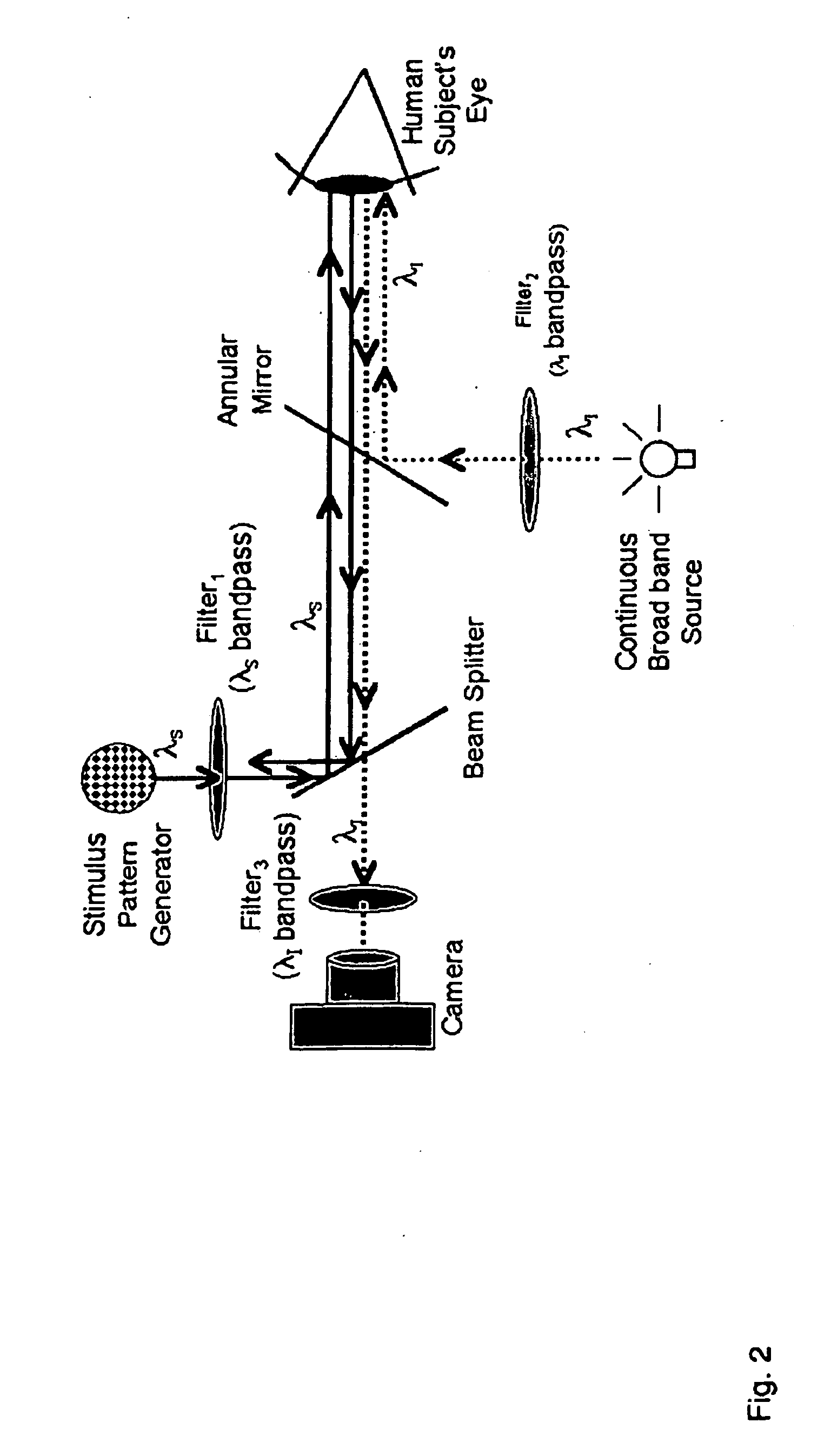 System and method for optical imaging of human retinal function