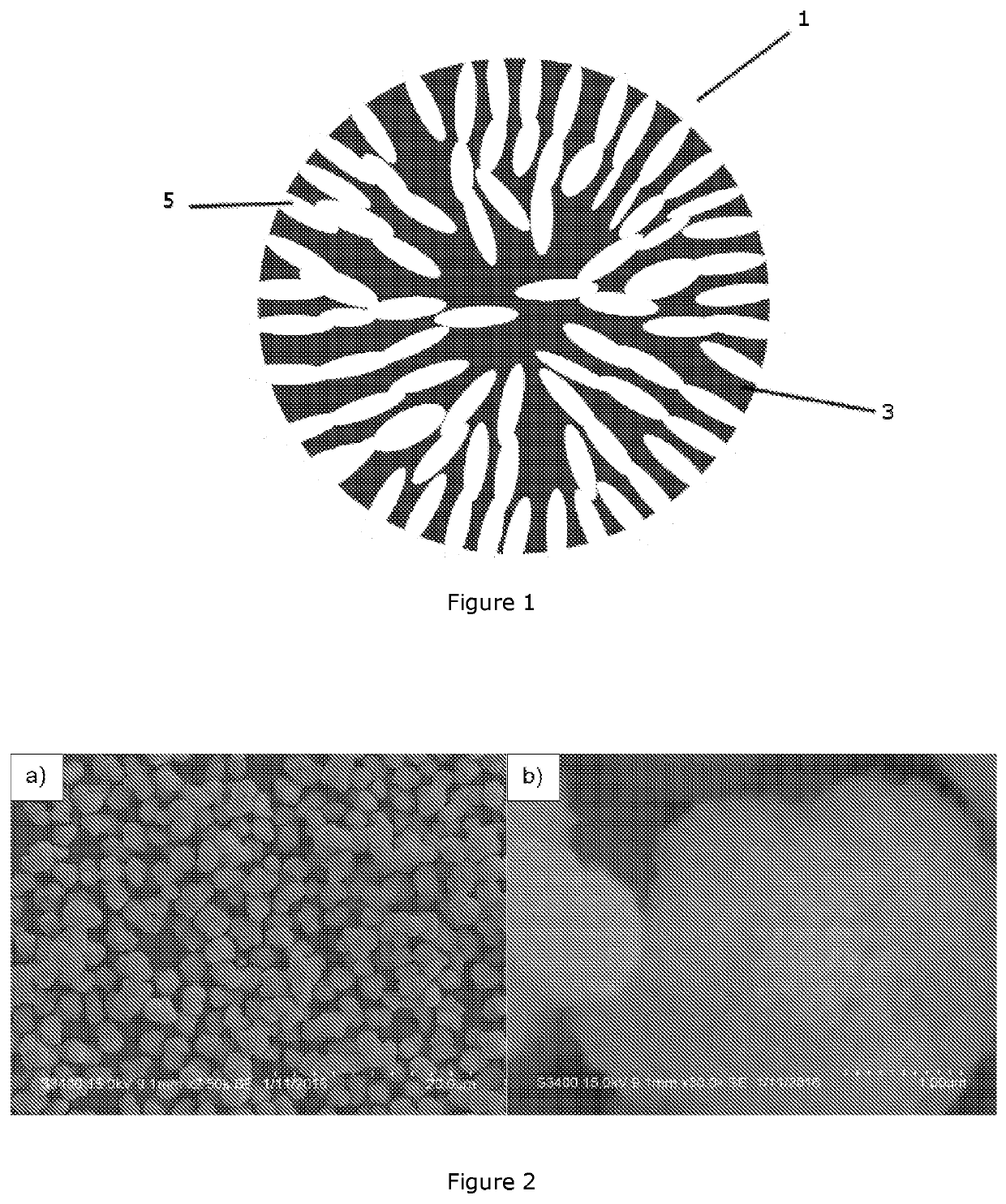 An anode for a solid oxide fuel cell