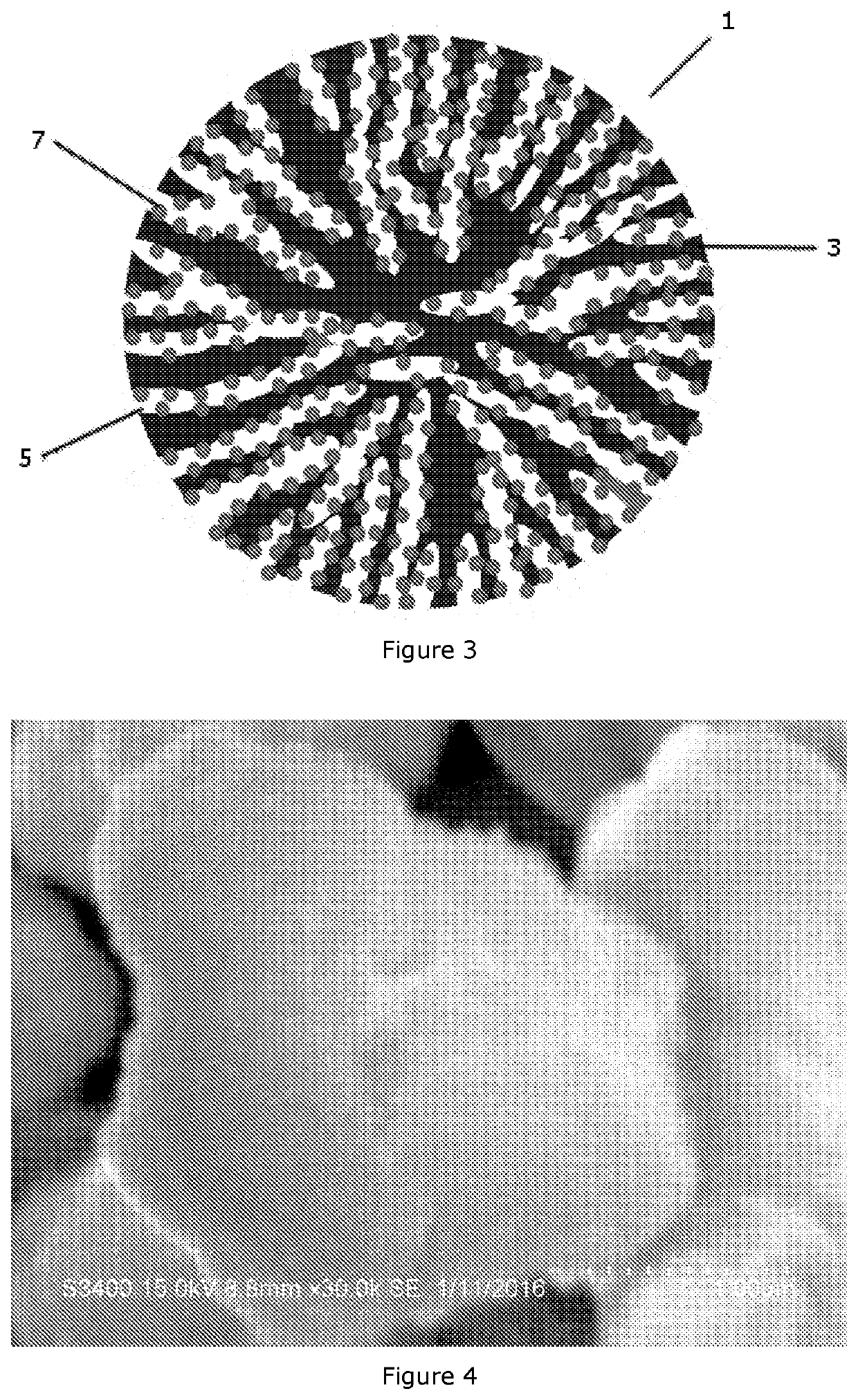 An anode for a solid oxide fuel cell