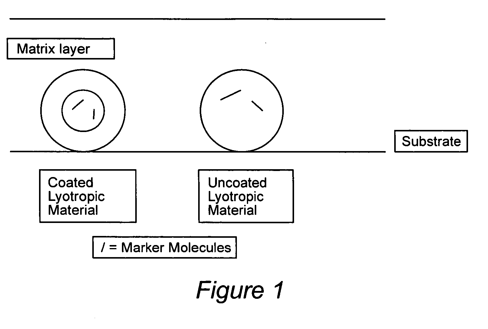 Compositions for binding to assay substrata and methods of using