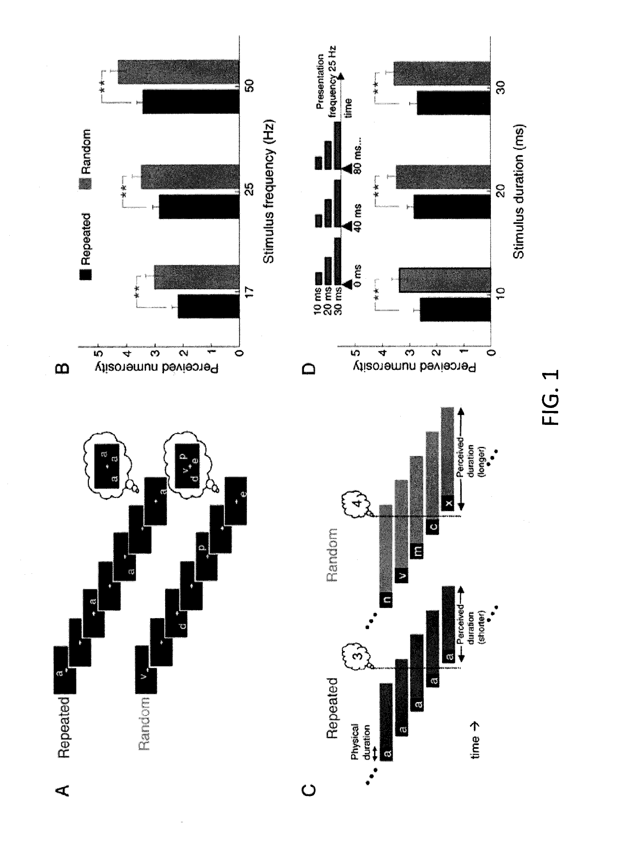 Device and method for rapid measurement of repetition suppression in the brain