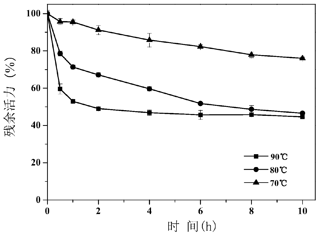 Amino acid racemase and application thereof