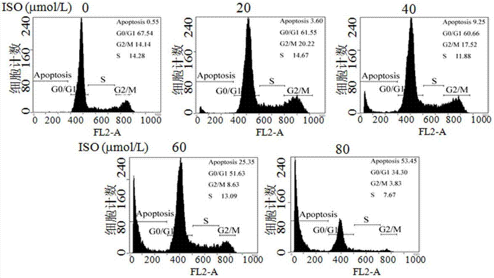 Application of isorhapontigenin (ISO) to preparation of drugs with antitumor activity