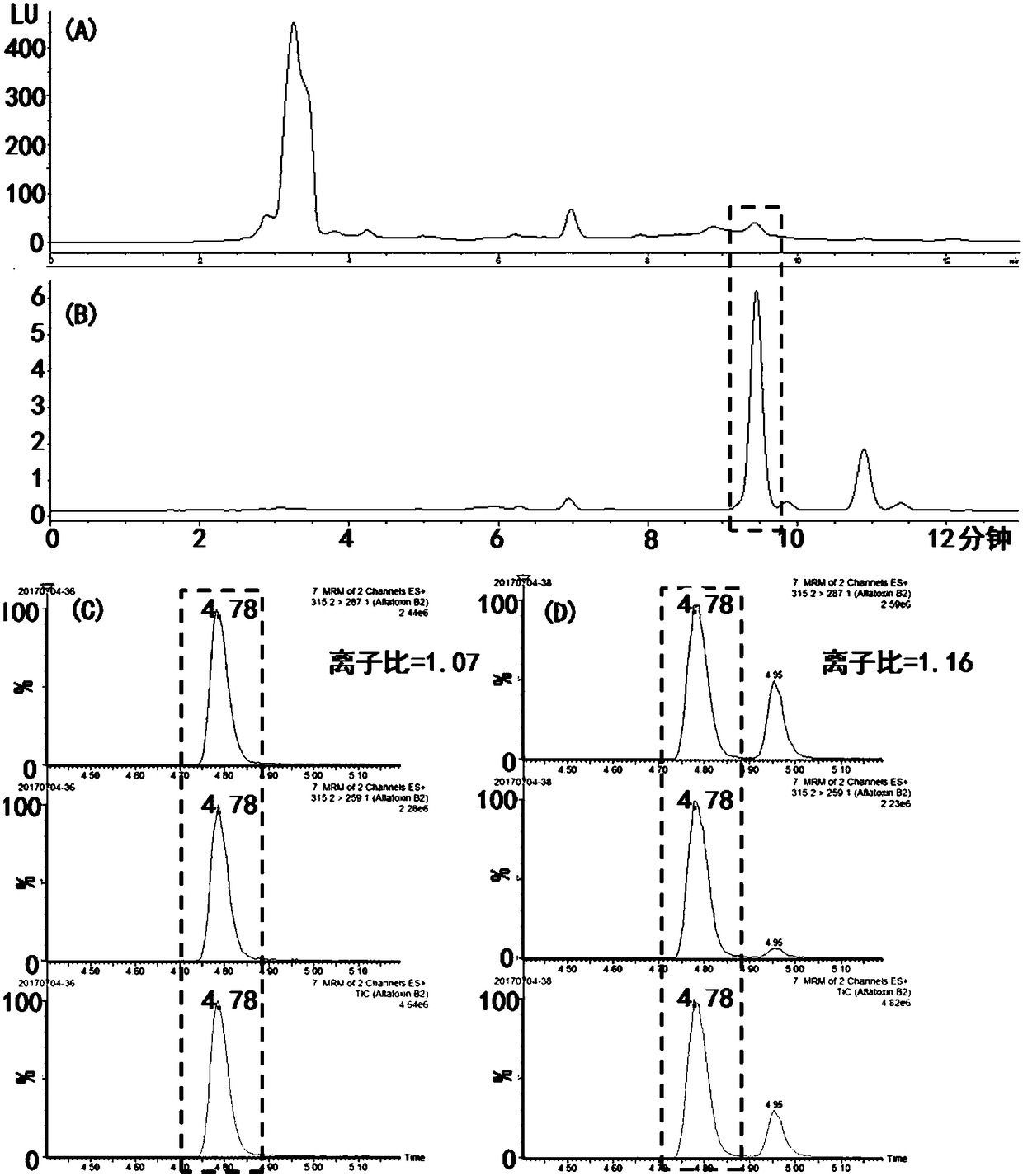 Aflatoxin B2 aptamer affinity column and preparation method and application thereof