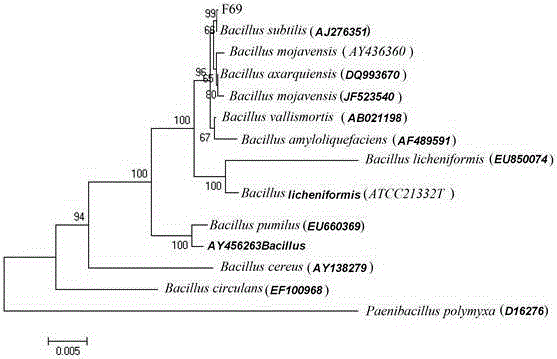 A strain fermenting and producing high-temperature-resistant β-galactosidase and its screening method