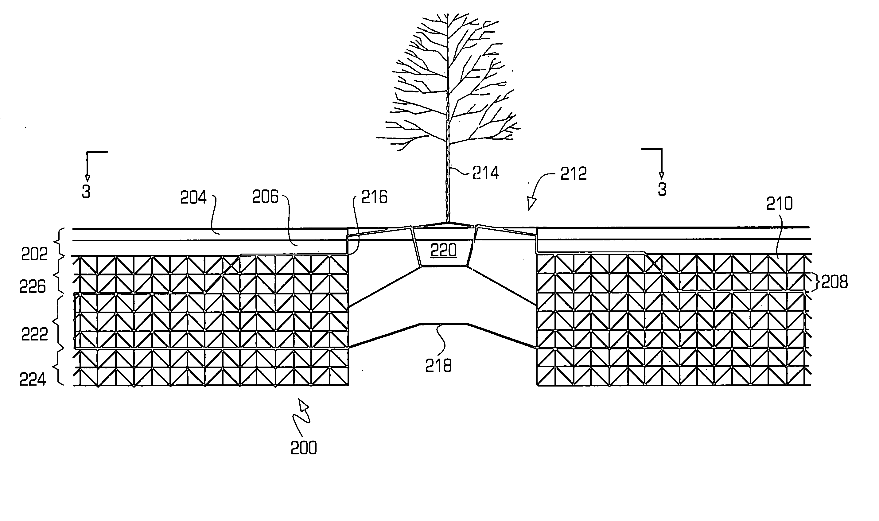 Integrated tree root and storm water system