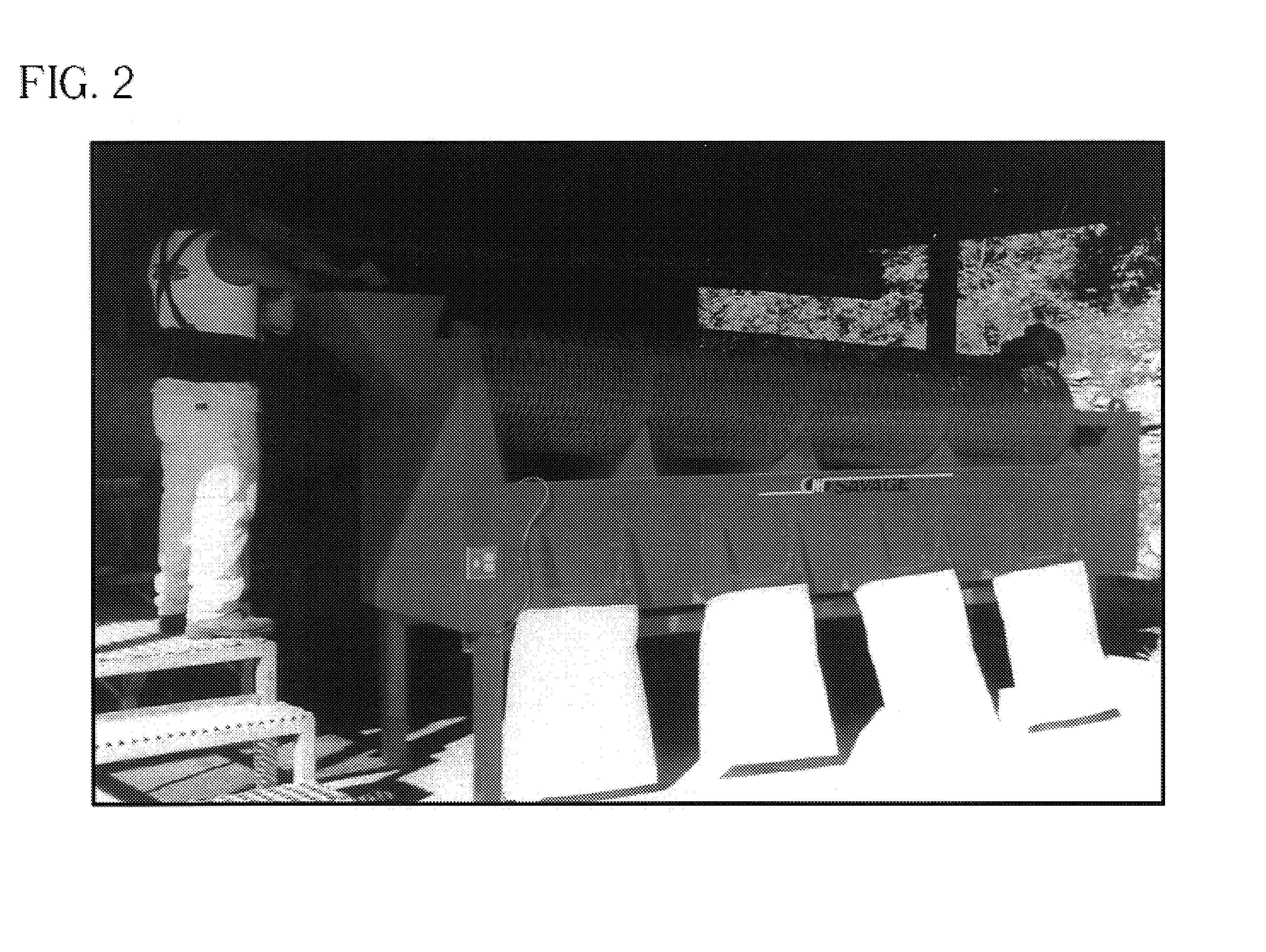 Method of accelerating the growth and development of trees via enhanced root development