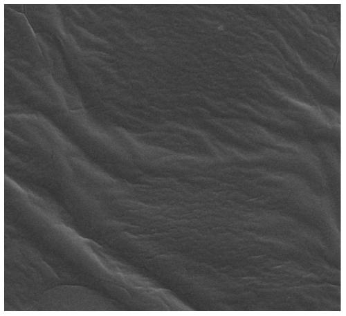 A kind of in situ implanted polymer particle solid electrolyte and preparation method thereof