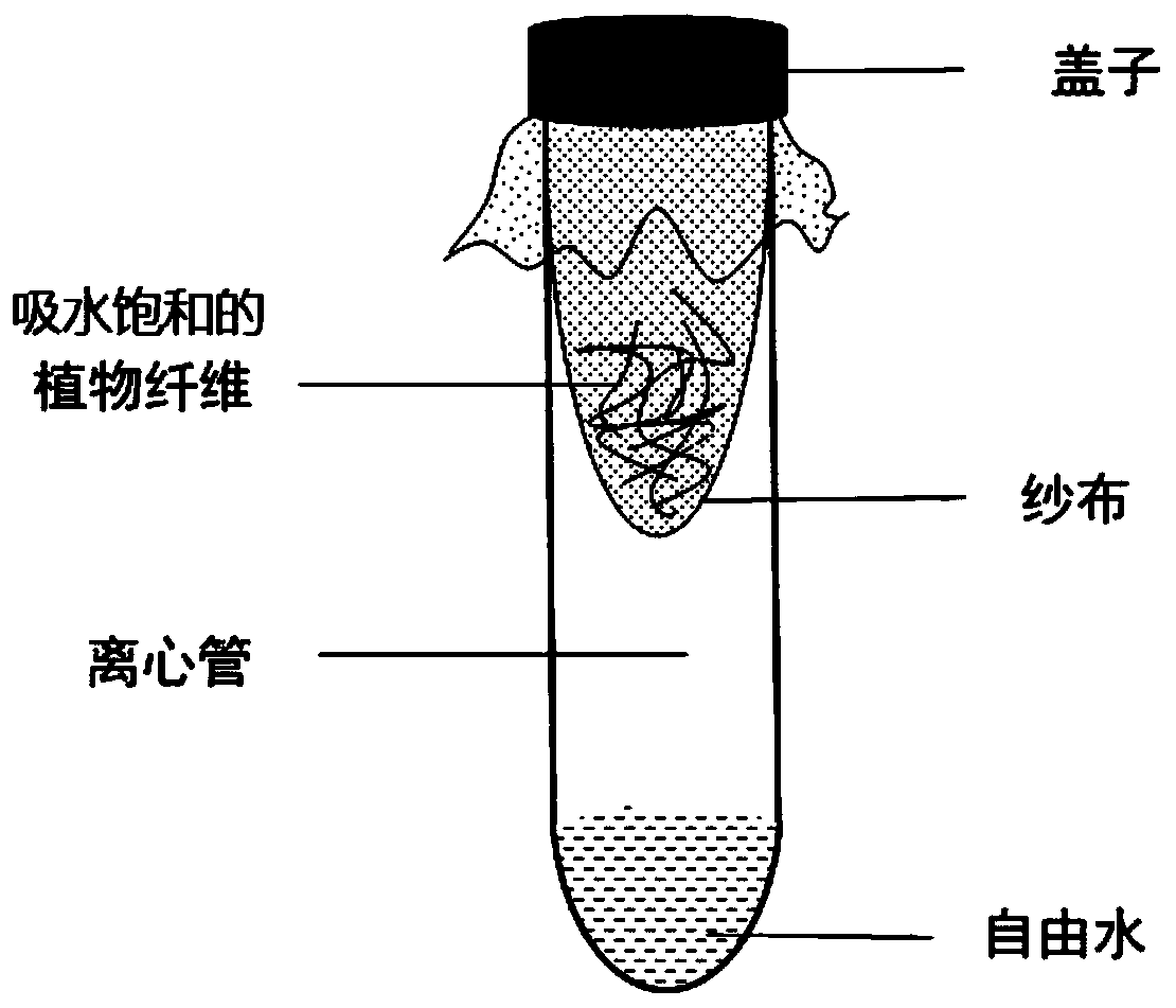 Method for accurately and quickly detecting water absorption capacity of plant fibers