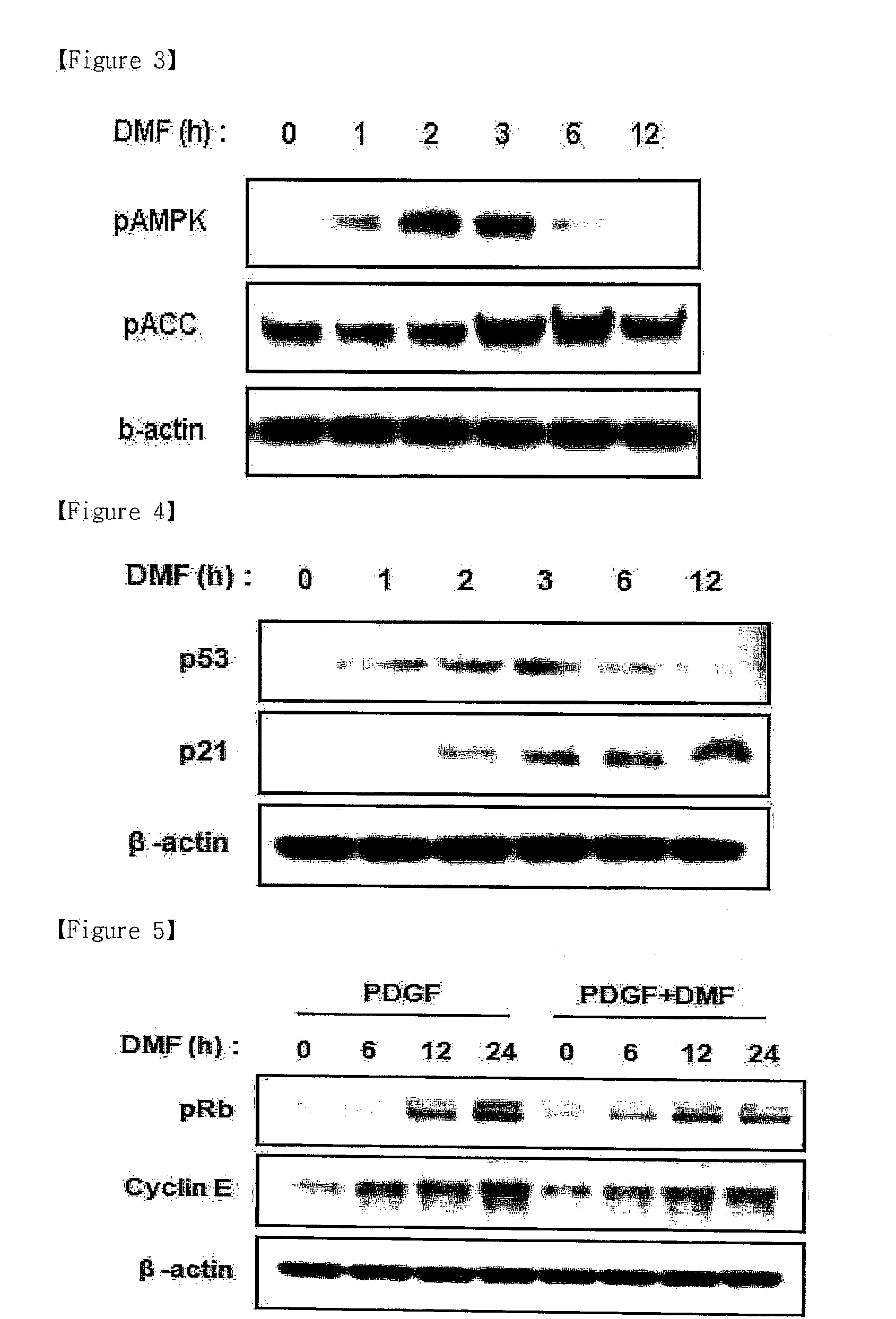 Novel use of dimethylfumarate