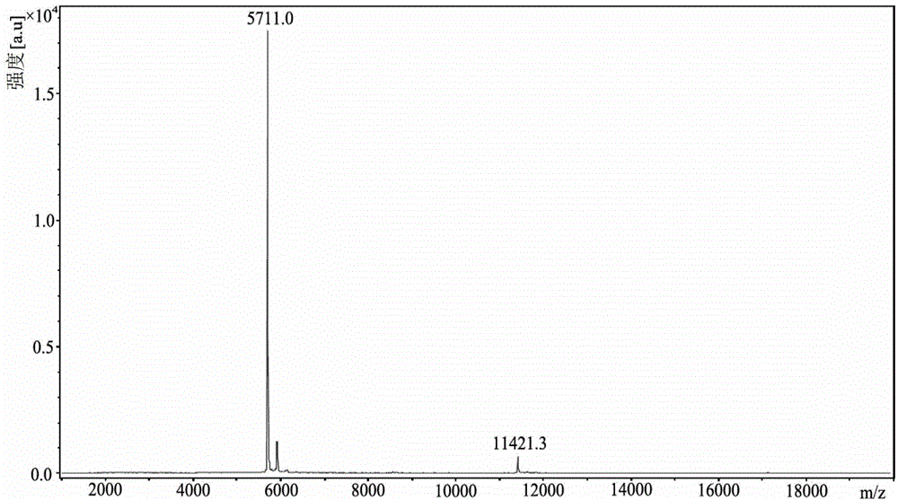 Preparation method of human insulin esters