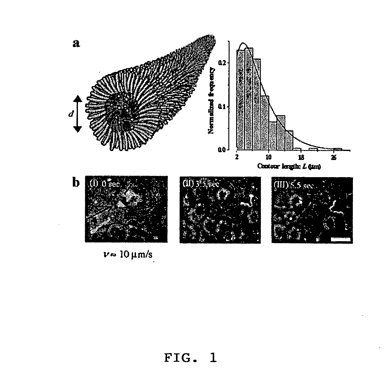 Block co-polymer worm micelles and methods of use therefor