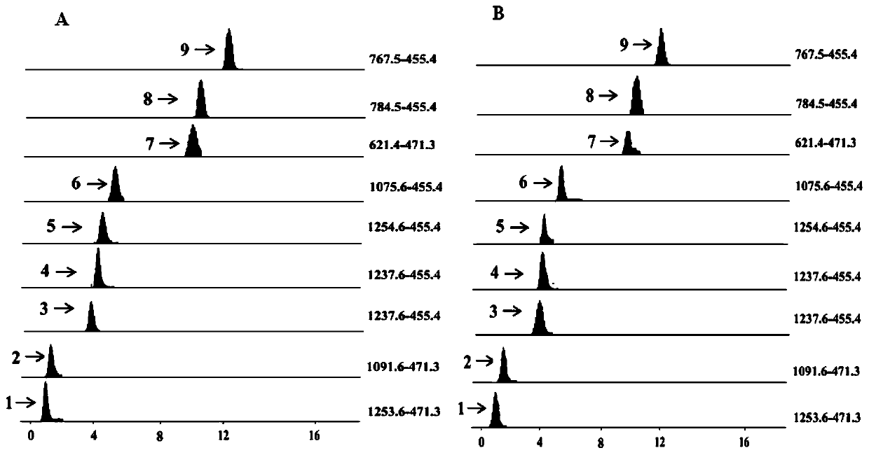 Qualitative and quantitative method of triterpene saponins in traditional Chinese medicine by electrospray protonation fragmentation-mass spectrometry multiple reaction detection mode