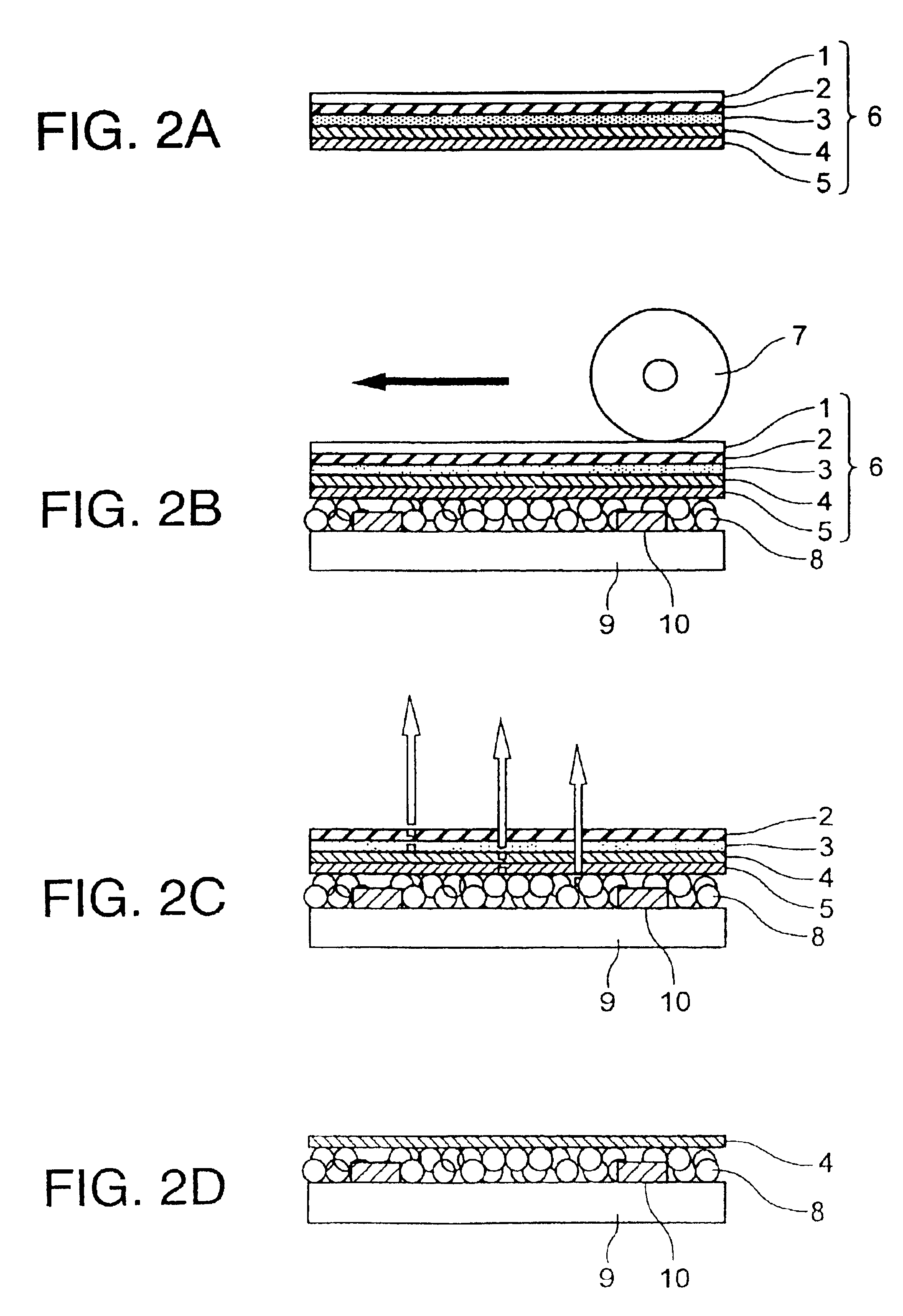 Transfer film, method for forming metal back layer, and image display