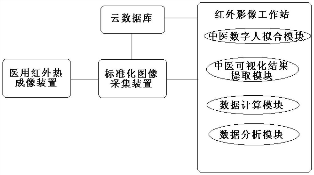 A digital visualization system and method for traditional Chinese medicine