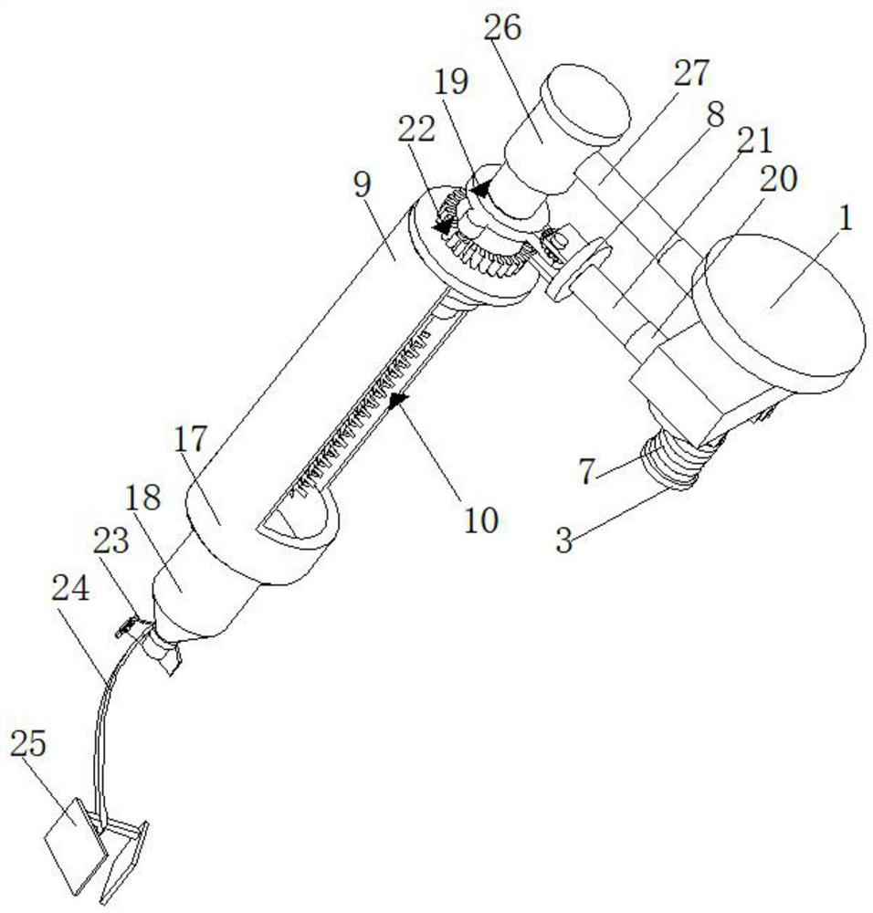 Device for pruning branches and leaves of garden plants