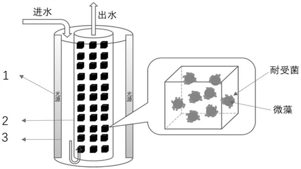 A biological filtration device and working method for treating trace antibiotic wastewater