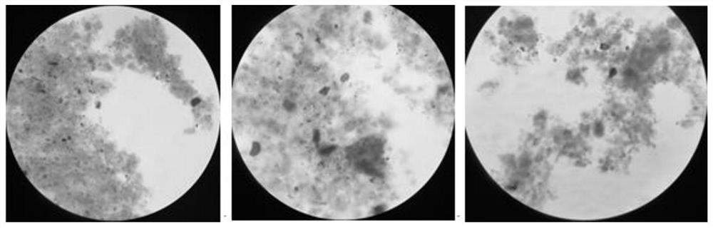 A biological filtration device and working method for treating trace antibiotic wastewater