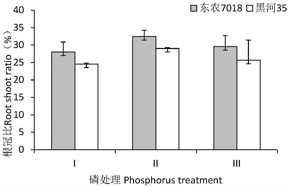 Mixture for improving soybeans' availability of phosphorus sources and application thereof