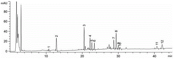 Cooked pseudo-ginseng and preparation method thereof