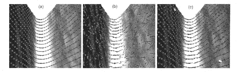 Brain cortex surface maximum principal direction field diffusion method for three-dimensional brain magnetic resonance image