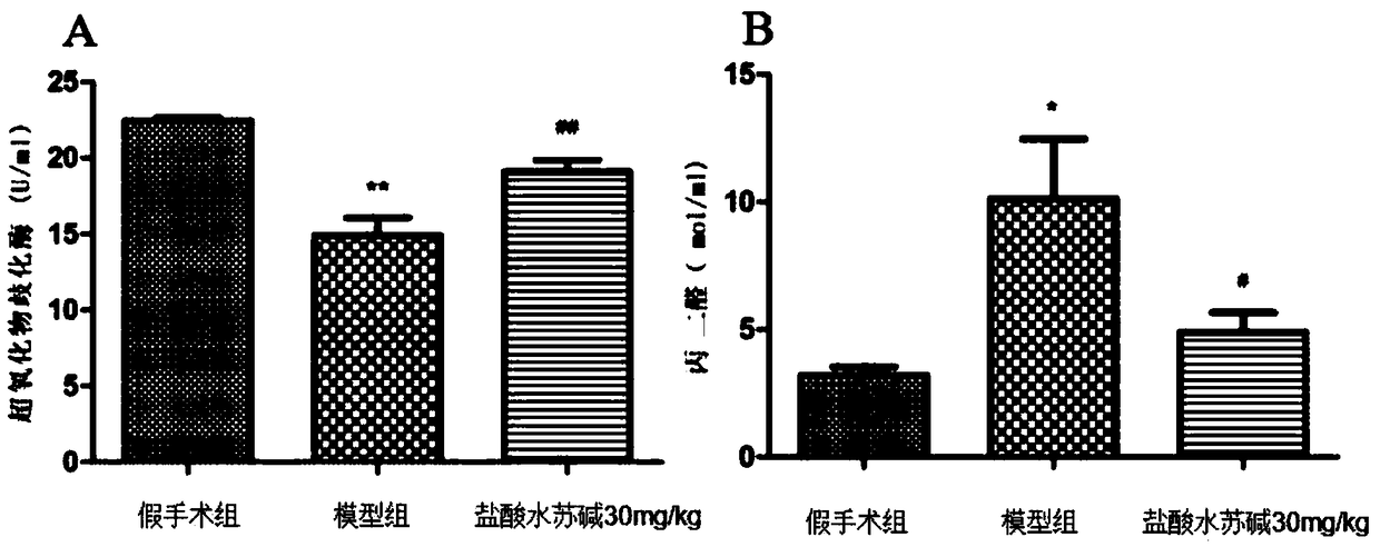 Novel application of stachydrine hydrochloride in prevention and treatment ischemic cerebrovascular diseases