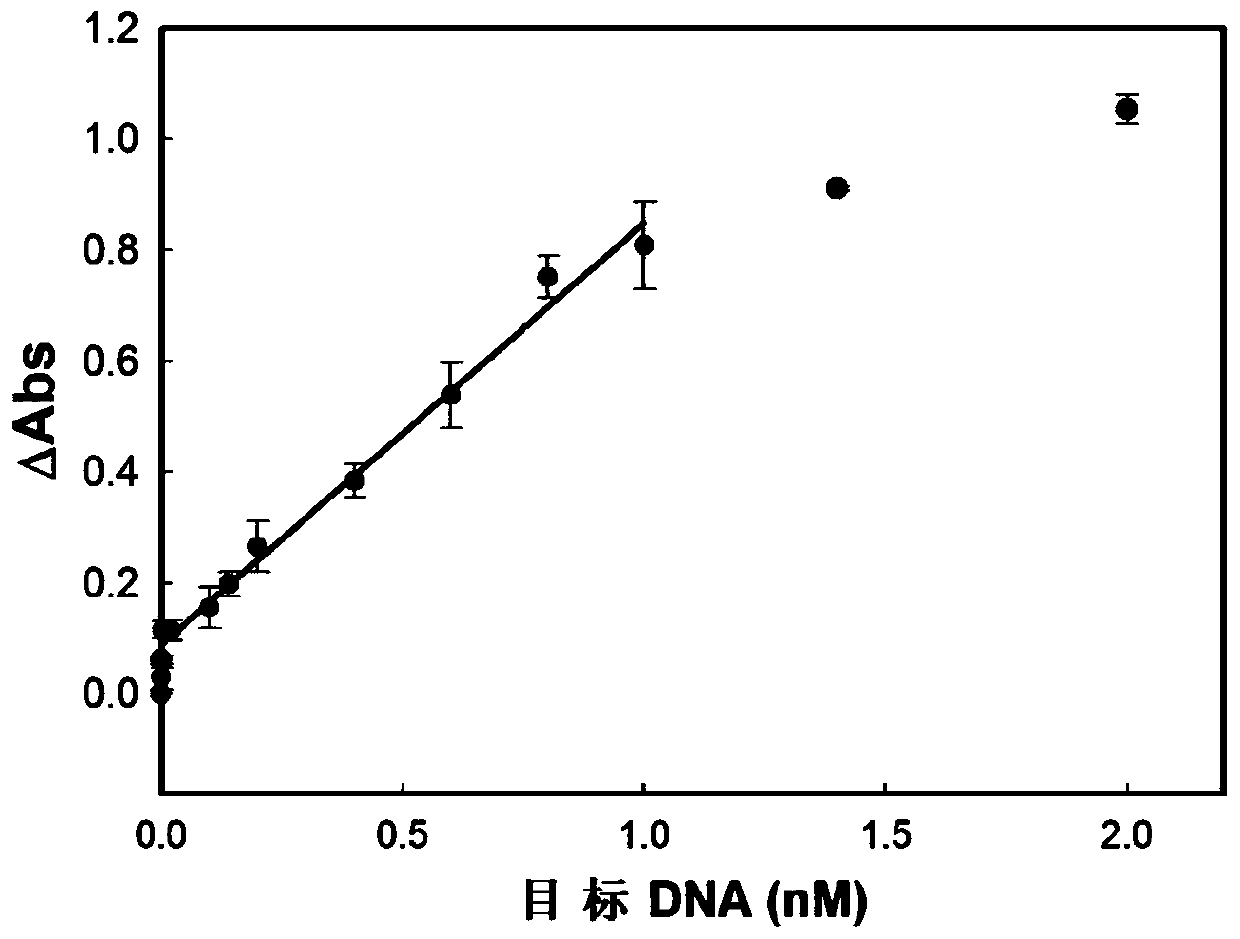 Method for detecting DNA or protein based on double-amplification method