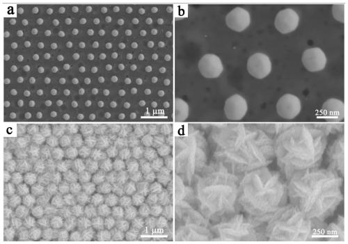 SERS substrate based on Au @ Ag nanoparticle ordered array as well as preparation method and application thereof