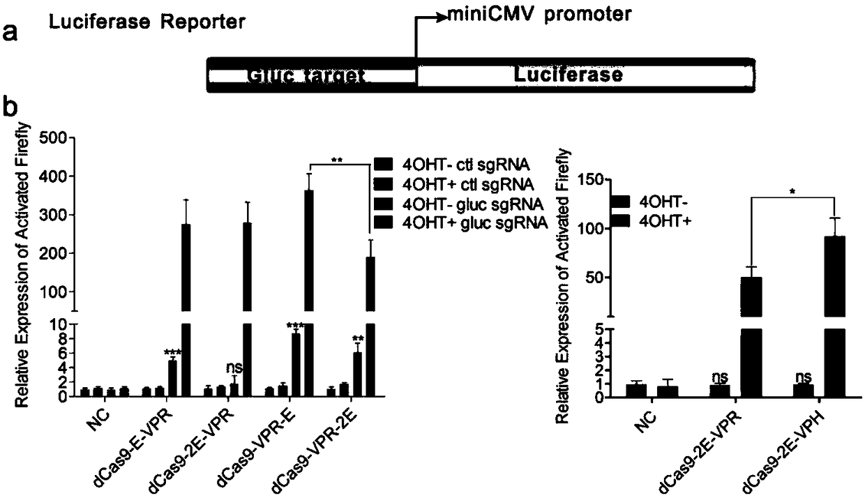 Drug-inducible CRISPR/Cas9 system for gene transcription activation