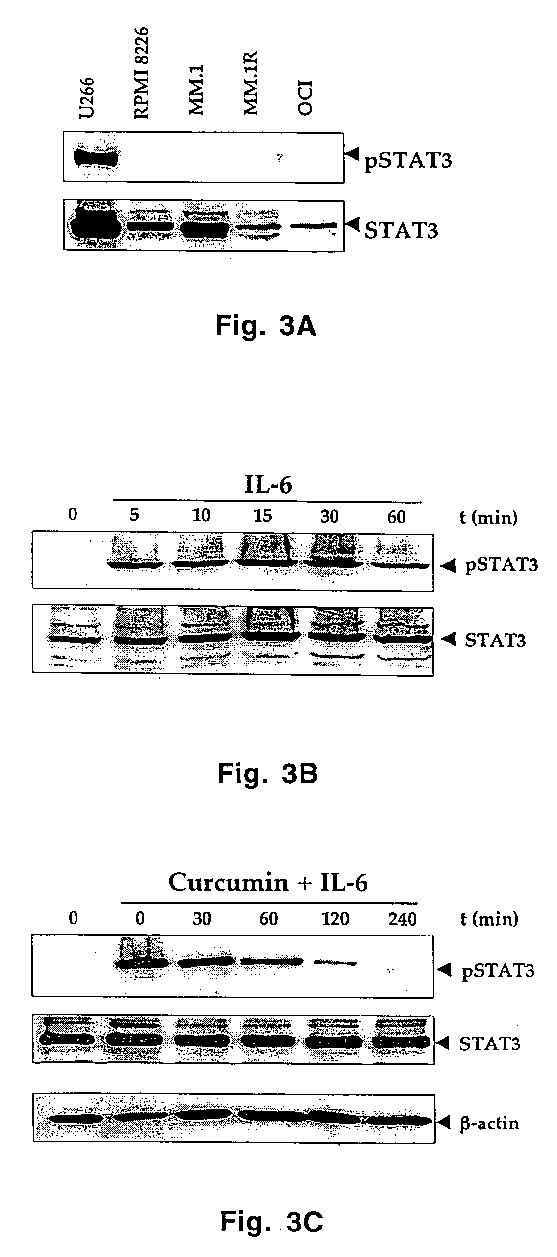 Selective inhibitors of stat-3 activation and uses thereof