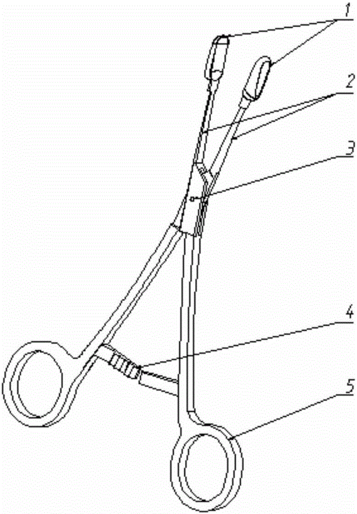 Straight liver cancer portal vein cancer thrombus fetching tongs