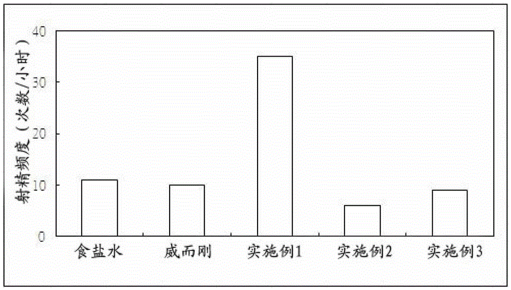 Pharmaceutical composition for active male sexual function