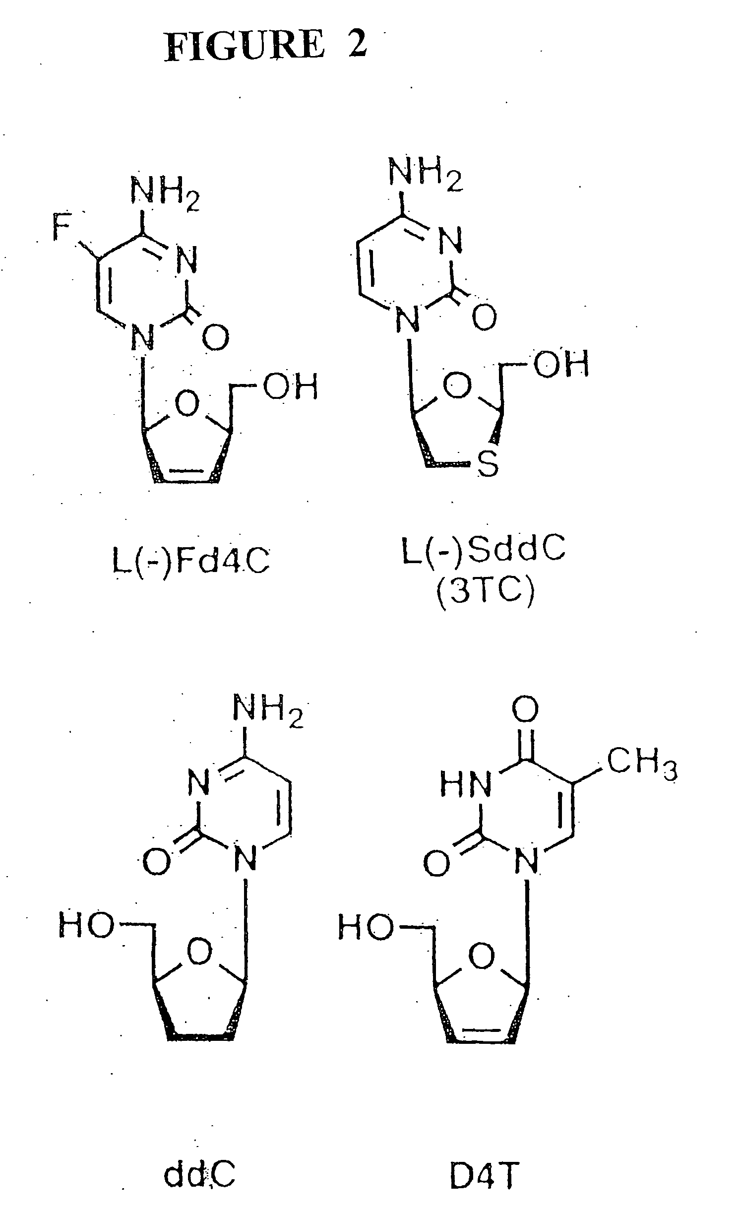 Anti-viral nucleoside analogs and methods for treating viral infections, especially HIV infections