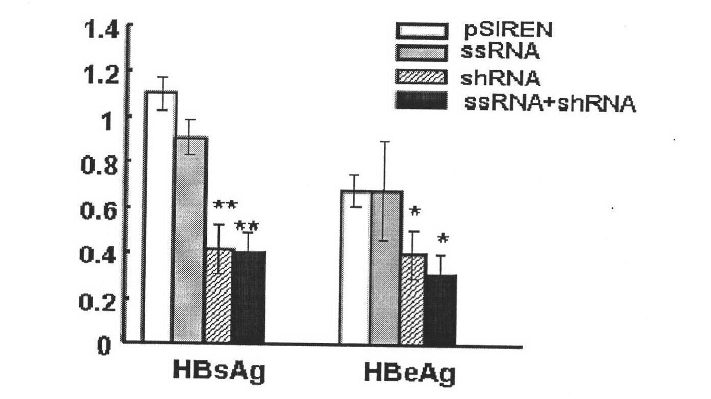 Dual expression vector for immunostimulatory RNA and HBV target gene silence RNA, construction and application thereof