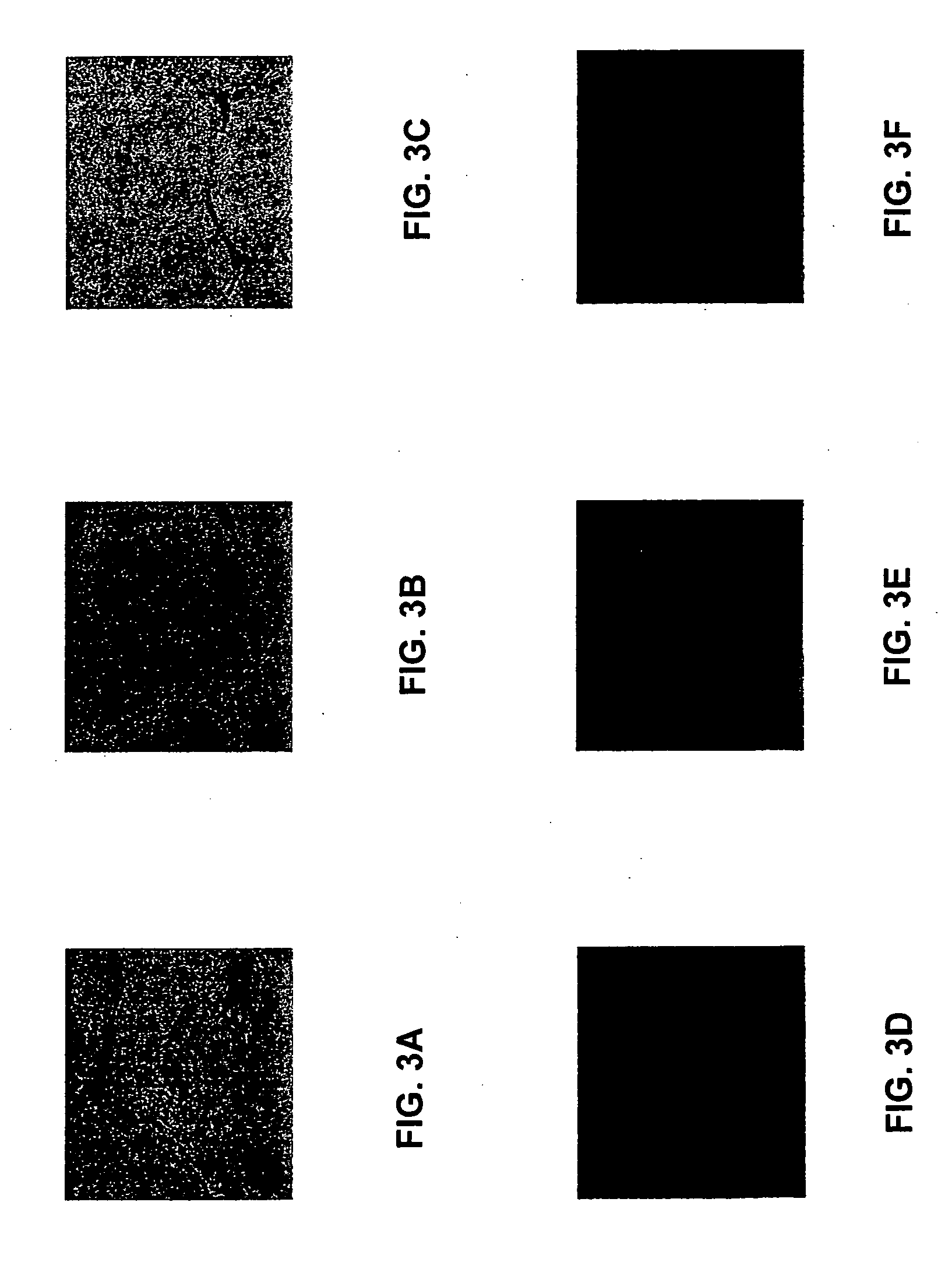 Nanoparticle conjugates