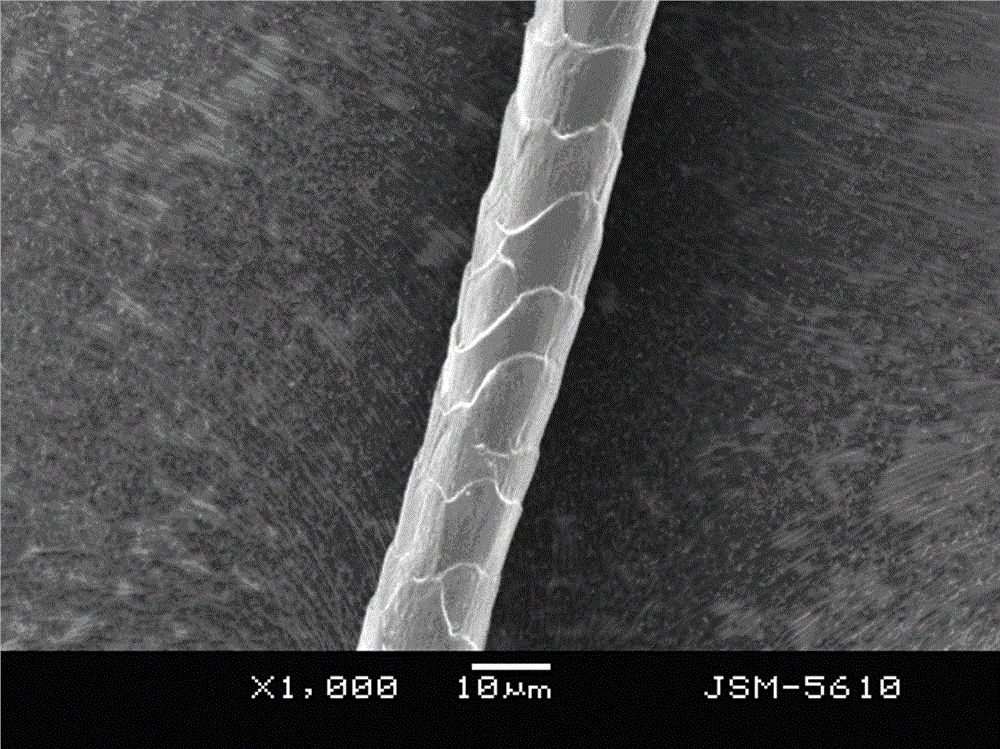 A method for catalytic oxidation modification of wool surface