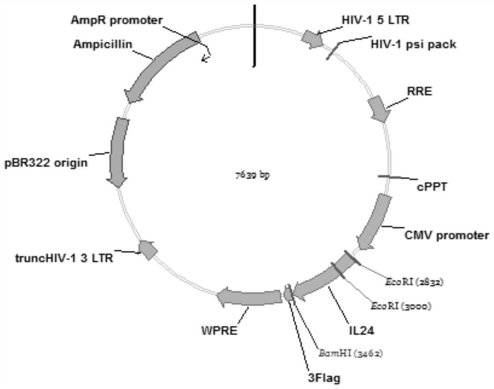 Tumor-specific gene expression cassette, recombinant expression vector, construction method and application